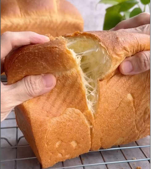 Cotton-like Sourdough Brioche